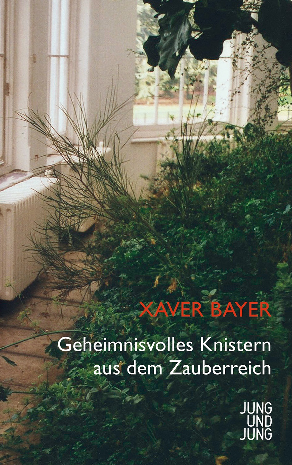 cover-bayer